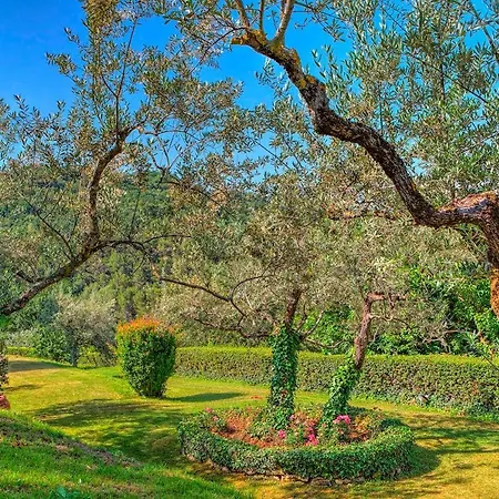Casa Degli Oleandri 8, Emma * Foligno